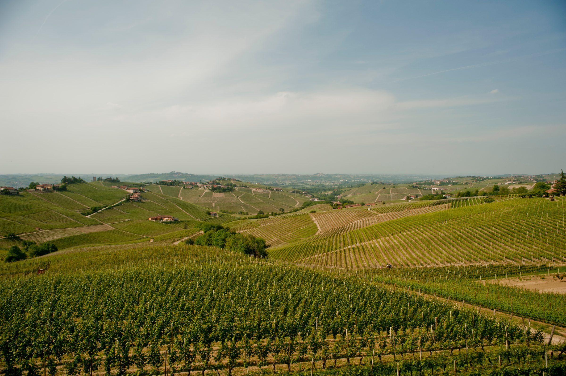 Sottimano – Weingut