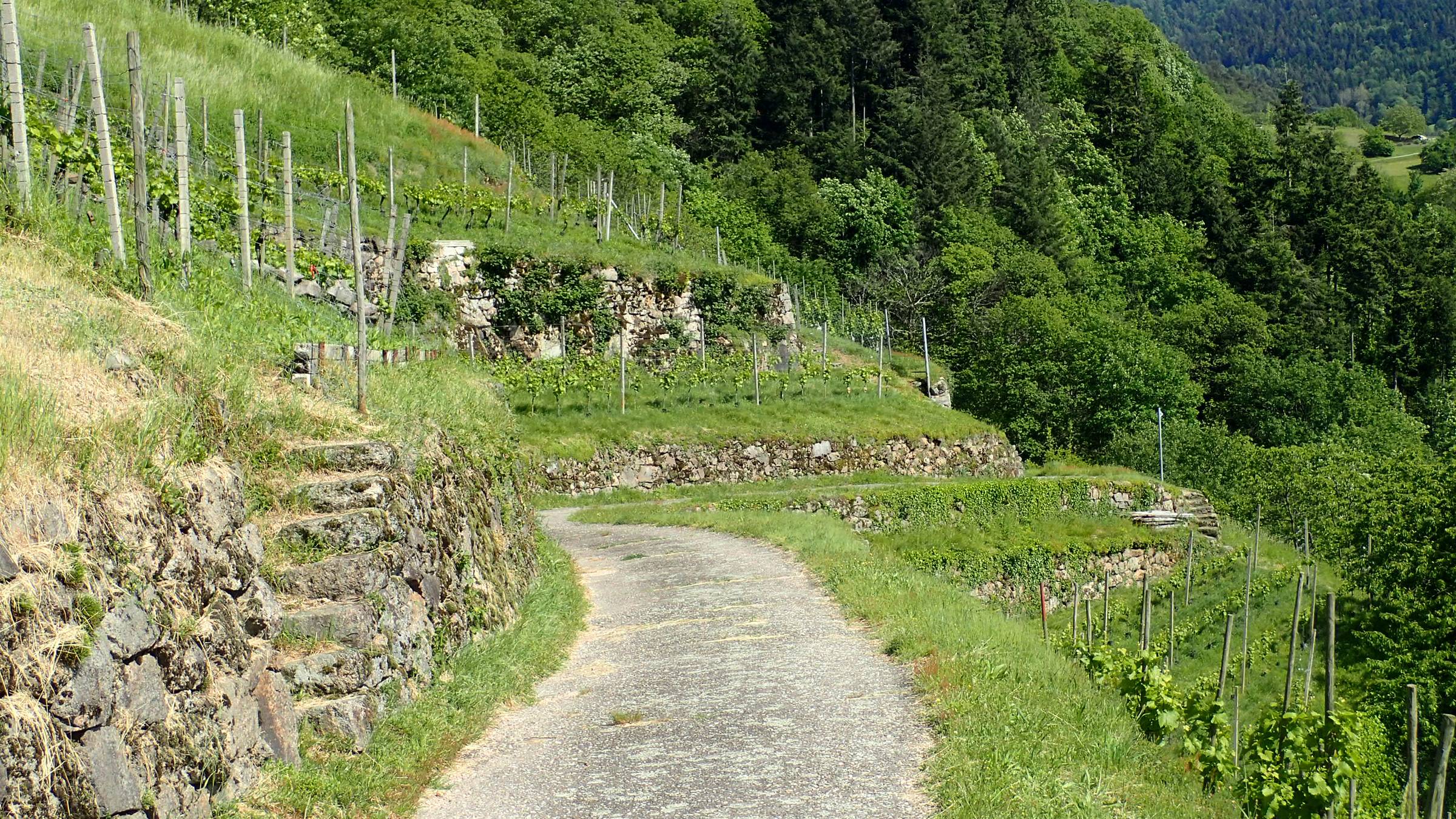 Forgeurac – Weingut