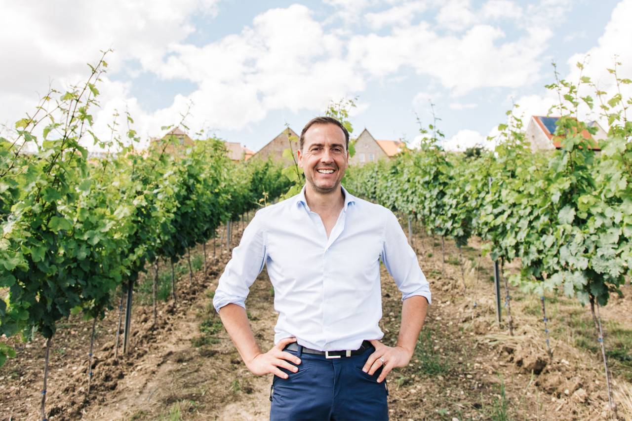 Battenfeld-Spanier – Weingut