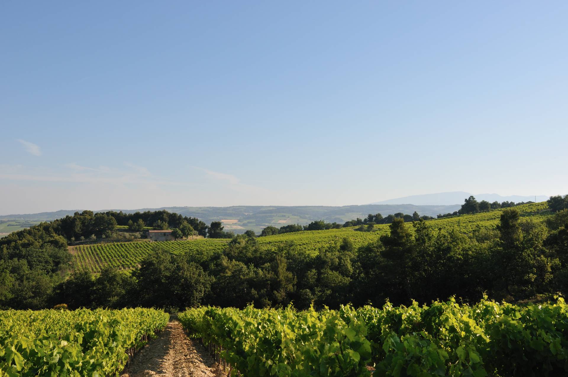 Roche-Audran – Weingut
