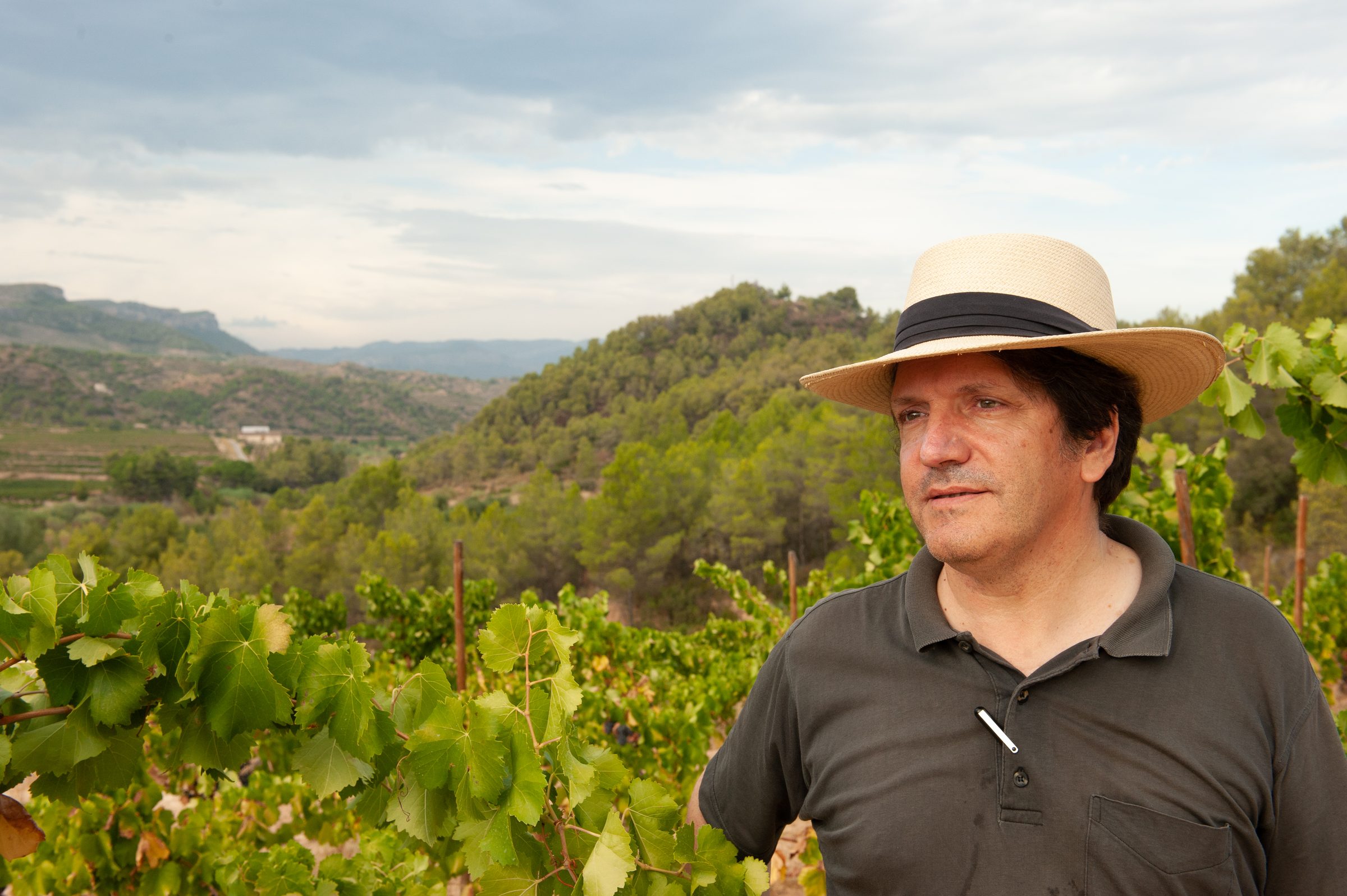 Vins Nus – Weingut