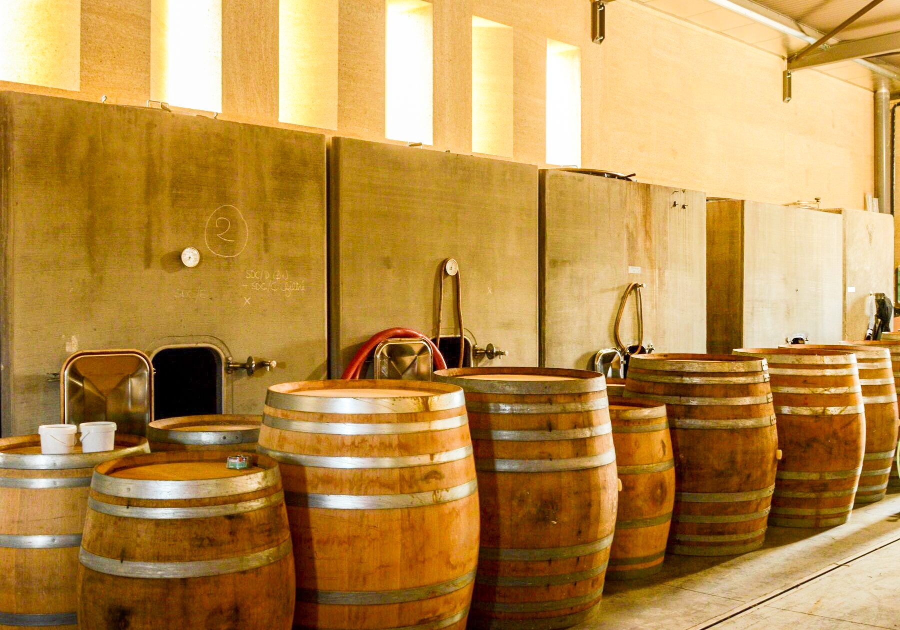 Roc des Anges – Weingut