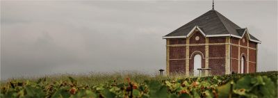Clos des Papes