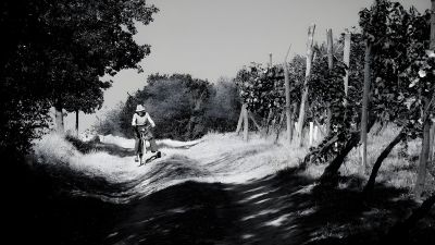Cinque Campi