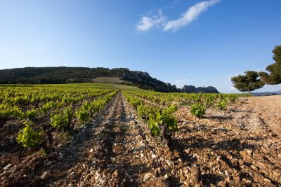 Domaine d'Ourea