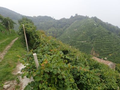 Casa Coste Piane