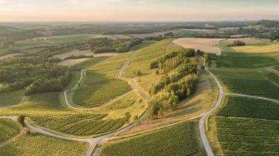 Domaine Grand